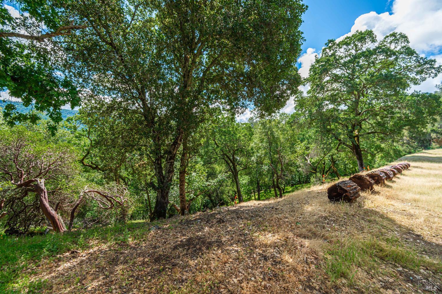 0 Sorrell Court Unit: #155