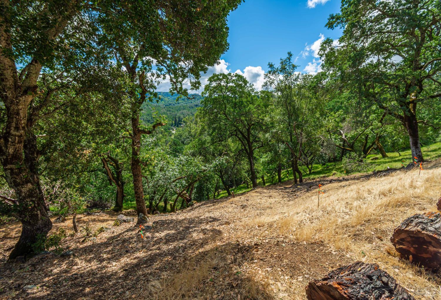 0 Sorrell Court Unit: #155