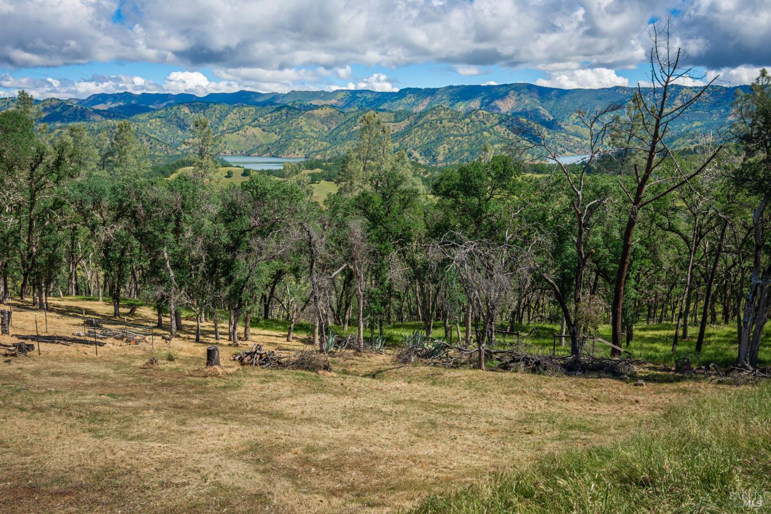 1012 Eastridge Drive