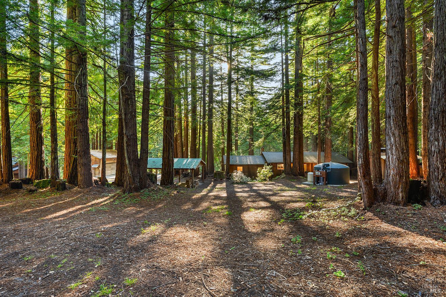 16735 Lauri Lane