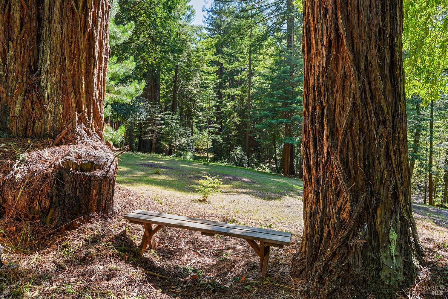 16735 Lauri Lane
