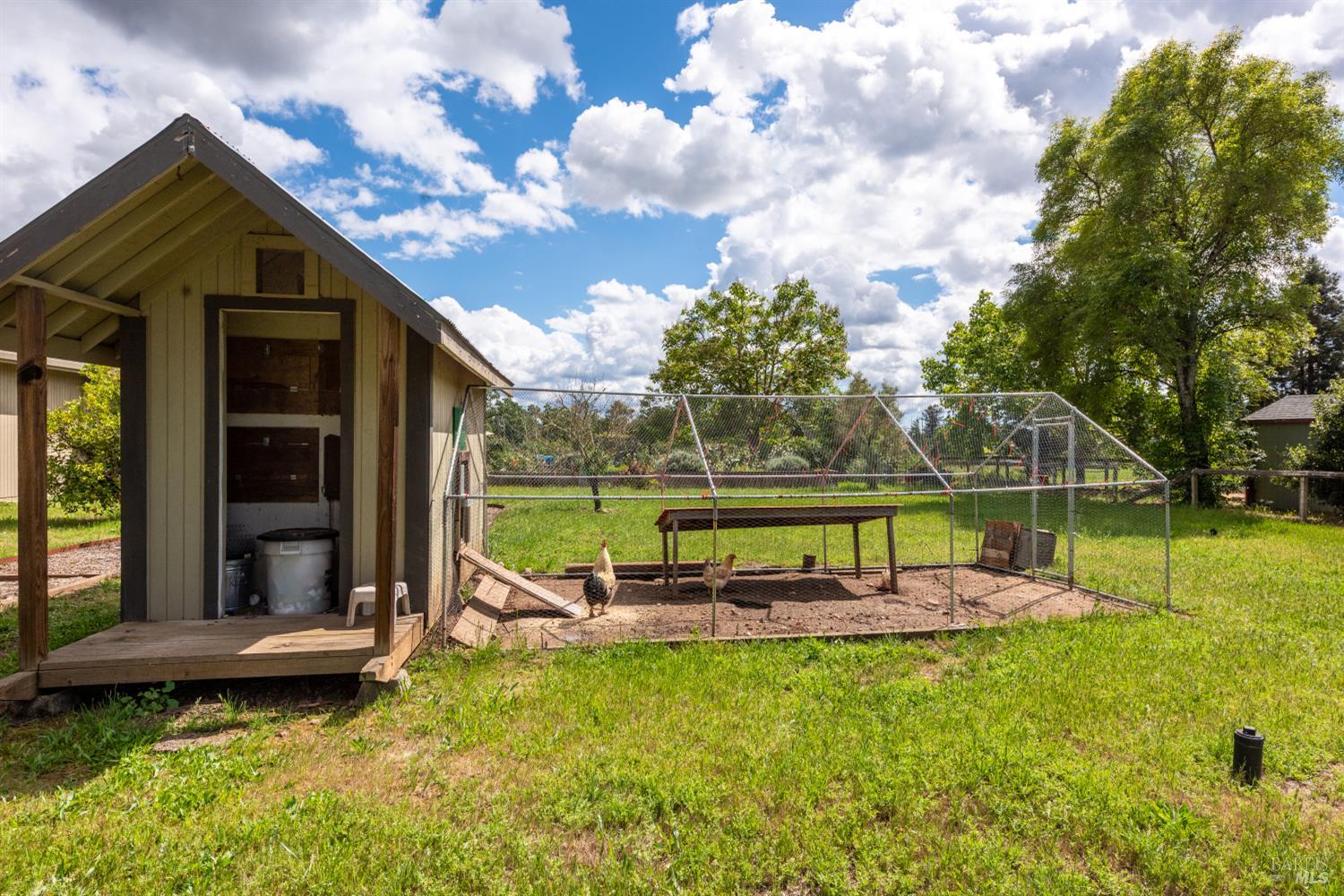 1084 Red Tail Road