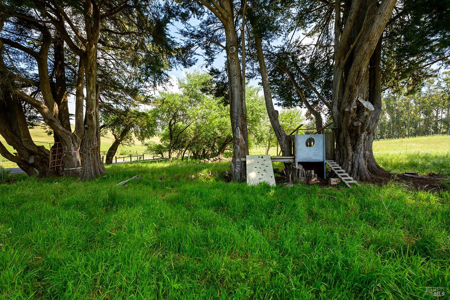 3735 Tomales-Petaluma Road