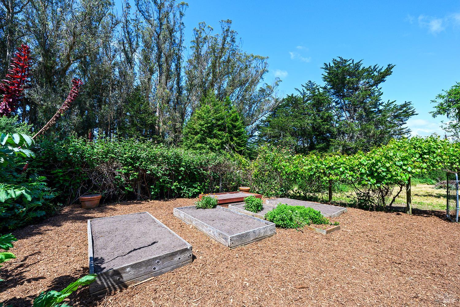 3735 Tomales-Petaluma Road