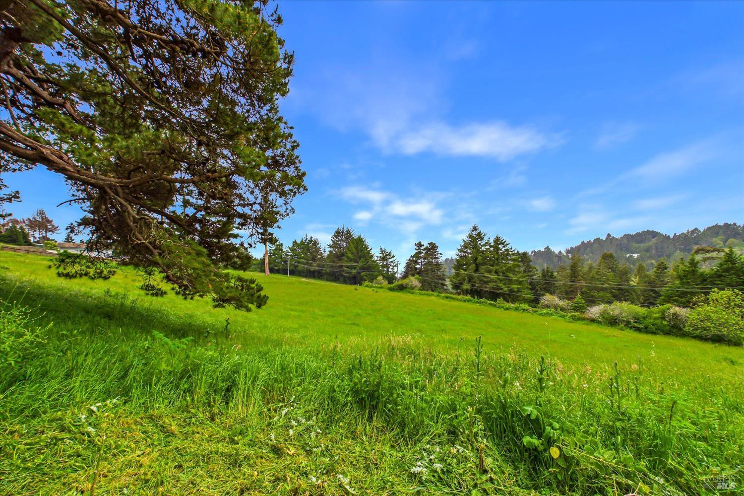 6483 Rohnerville Road