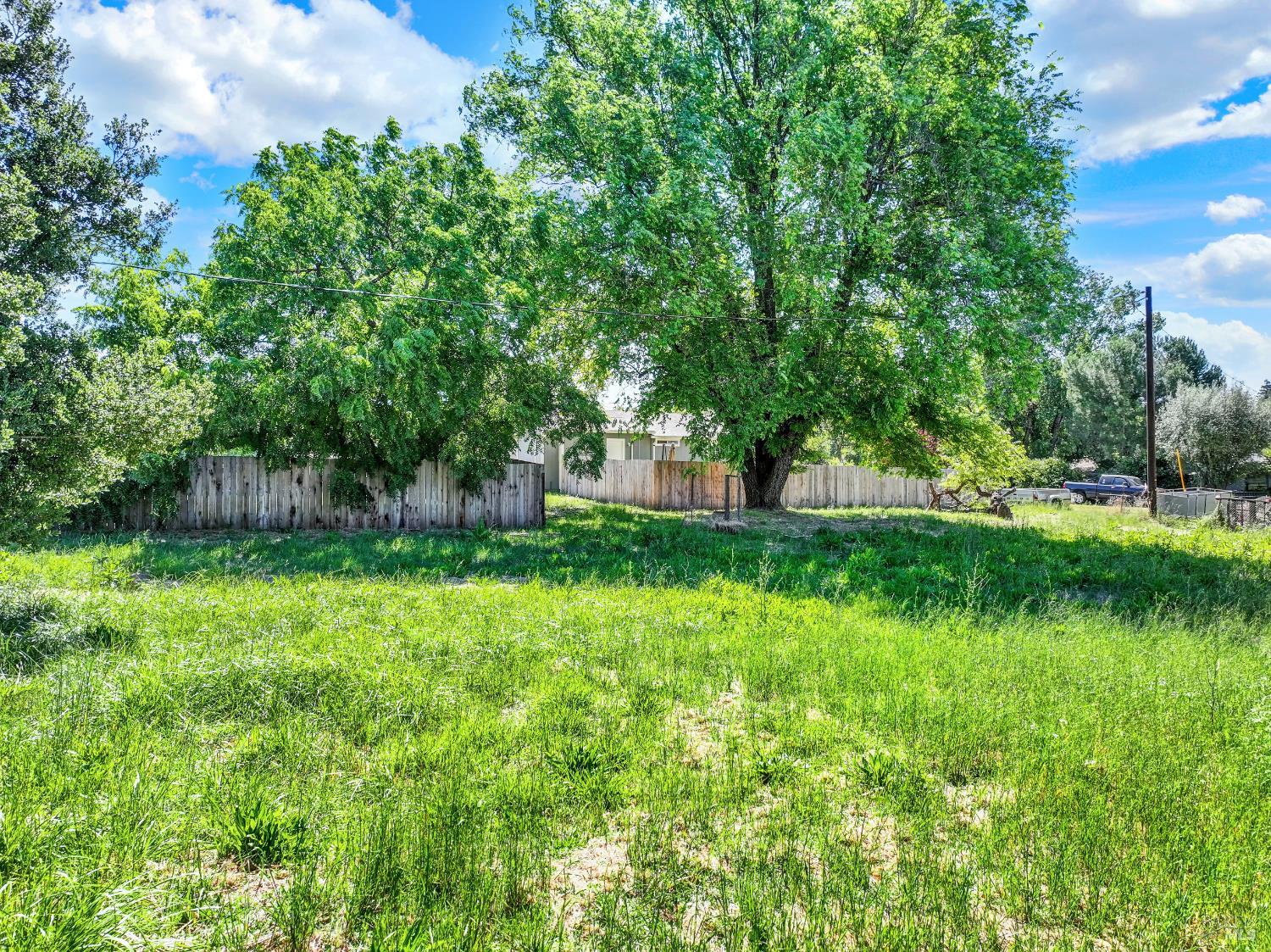 1015 Little Street