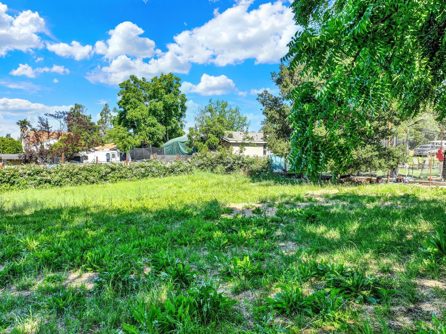 1015 Little Street