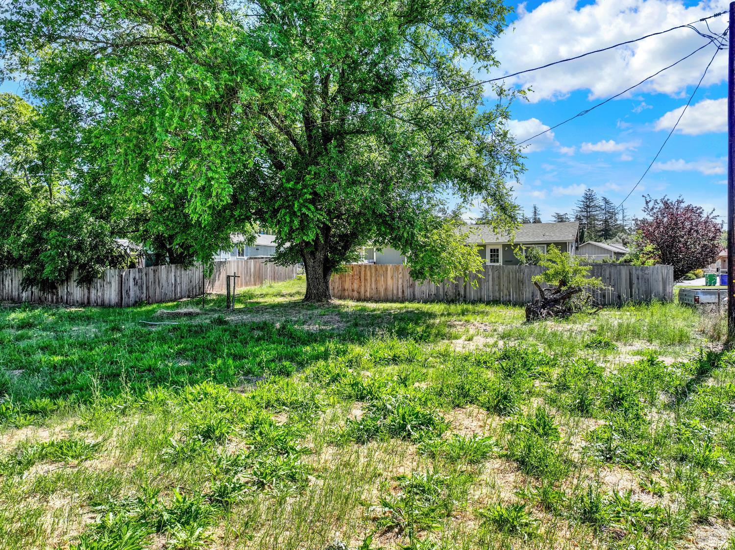 1015 Little Street