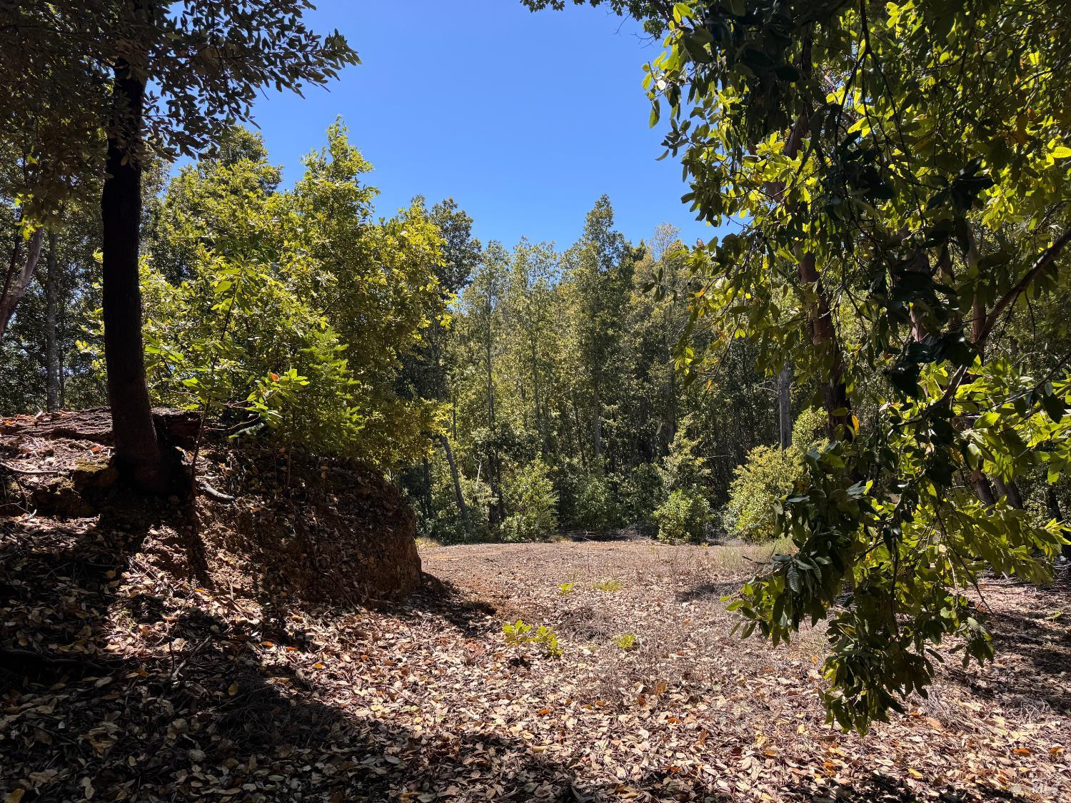 21530 Fort Ross Road