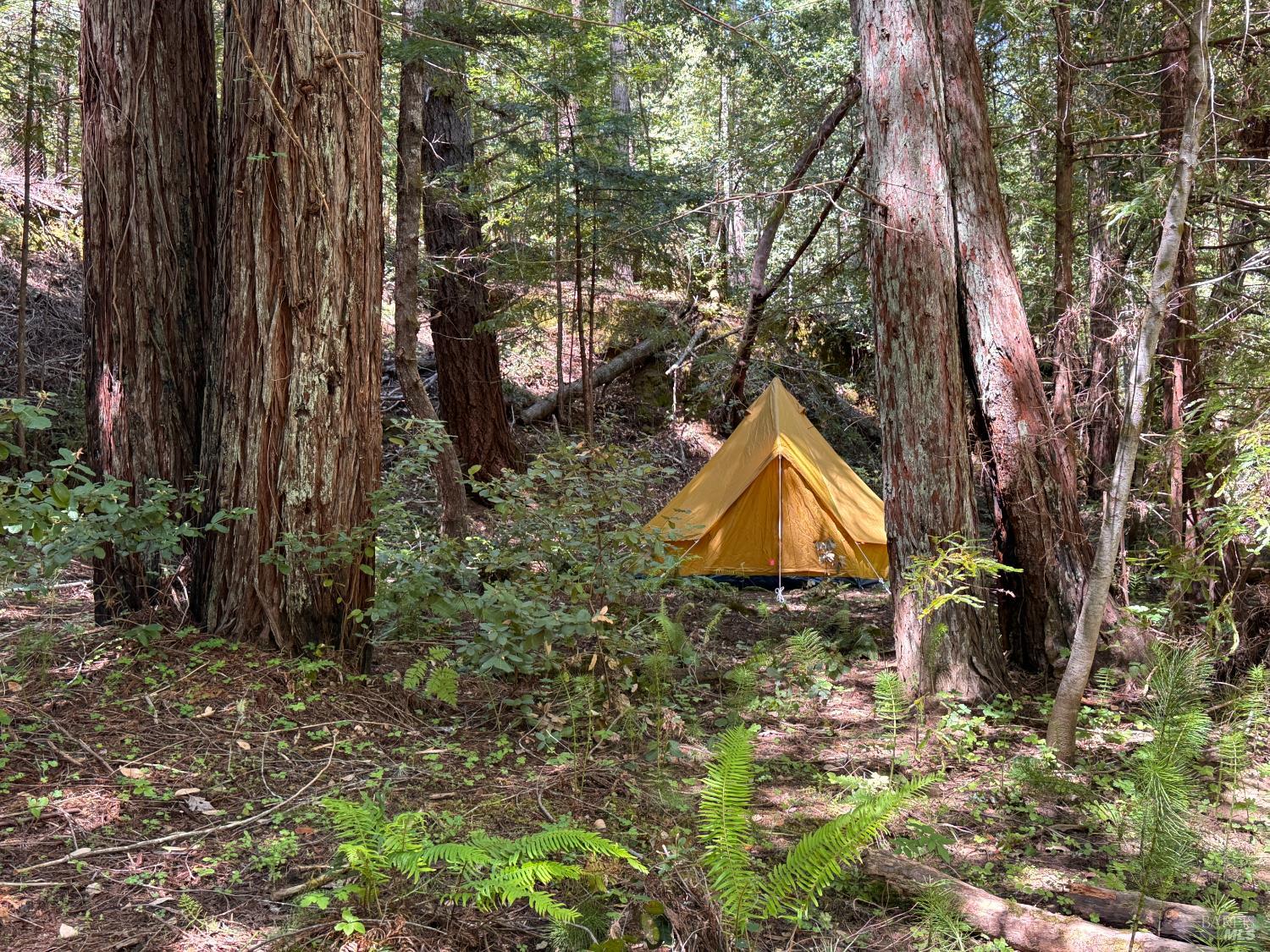 21530 Fort Ross Road
