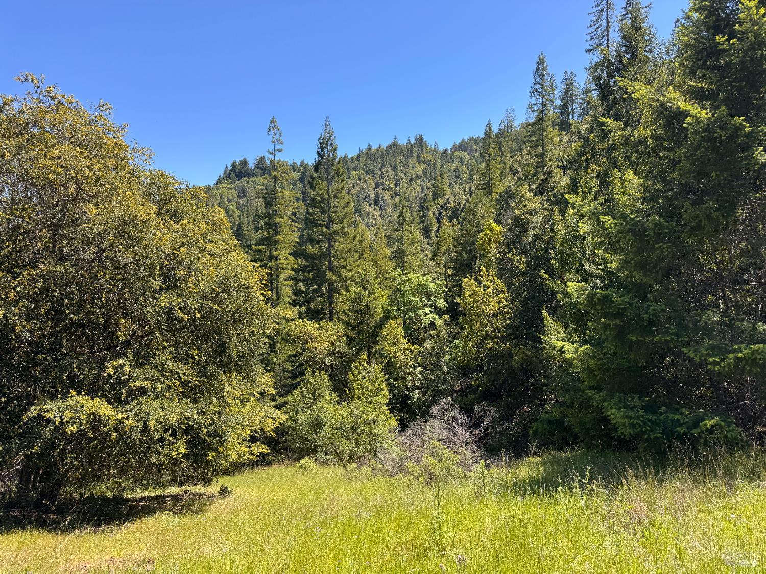 21530 Fort Ross Road