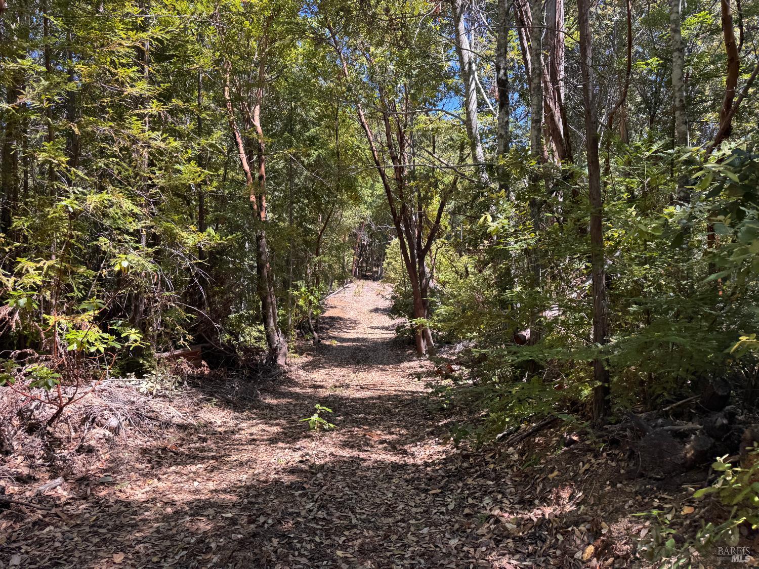 21530 Fort Ross Road