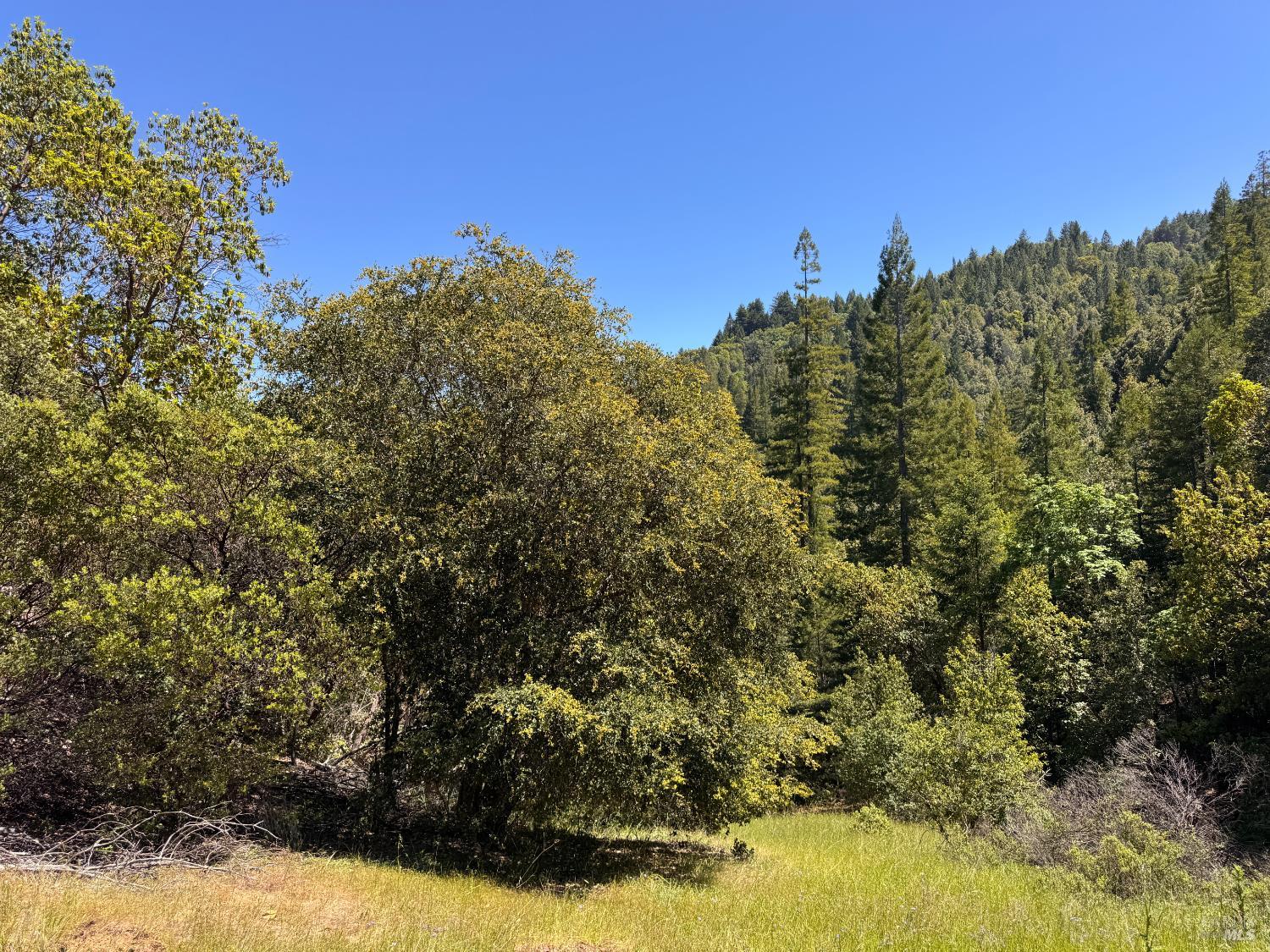 21530 Fort Ross Road