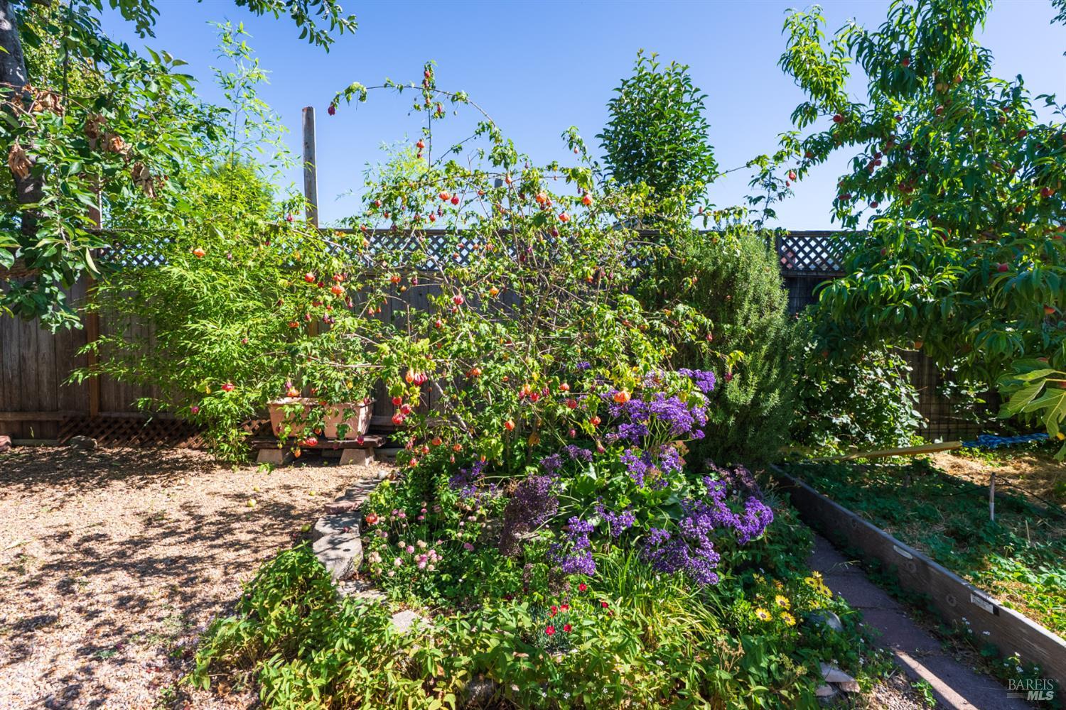 1563 Shay Drive
