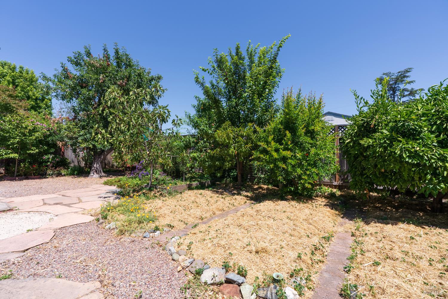 1563 Shay Drive