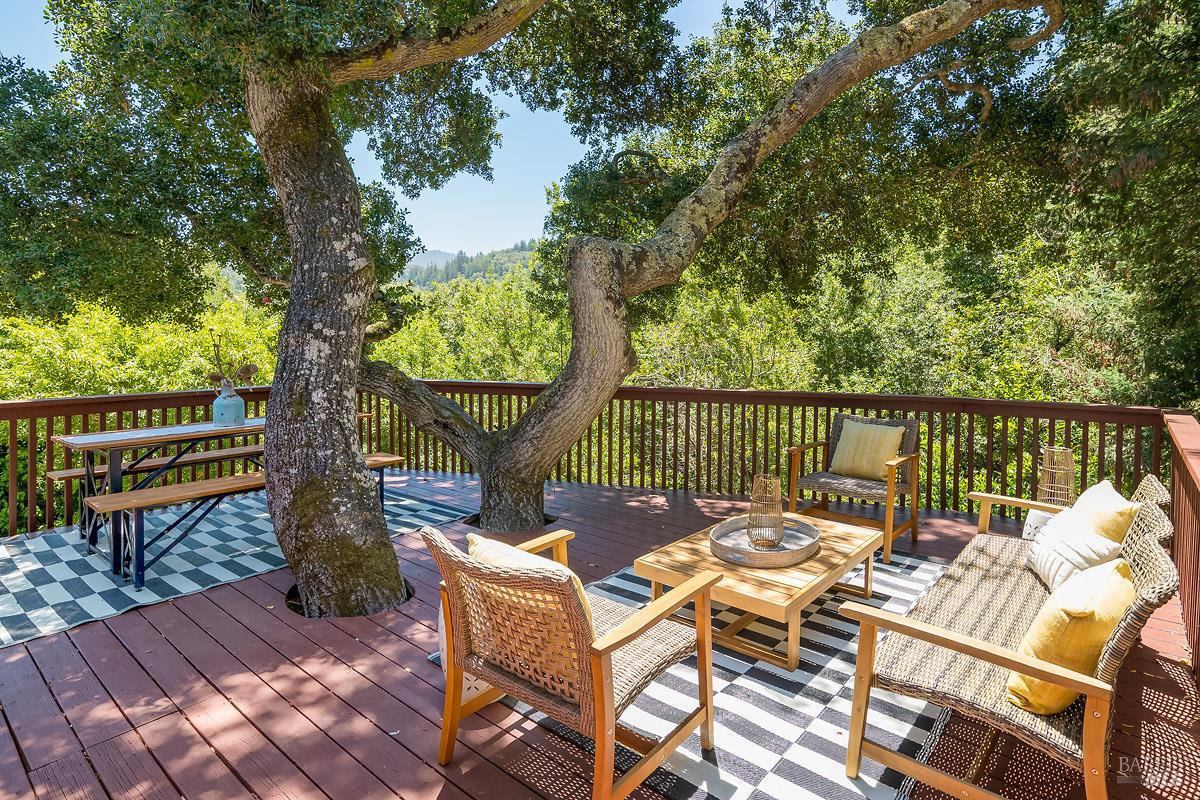 53 Madrone Road