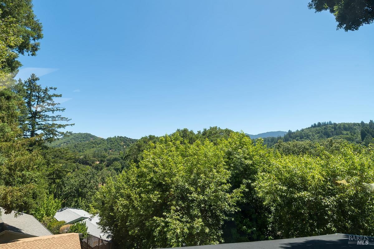 53 Madrone Road