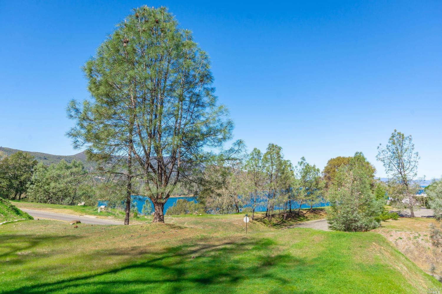 1276 Steele Canyon Road