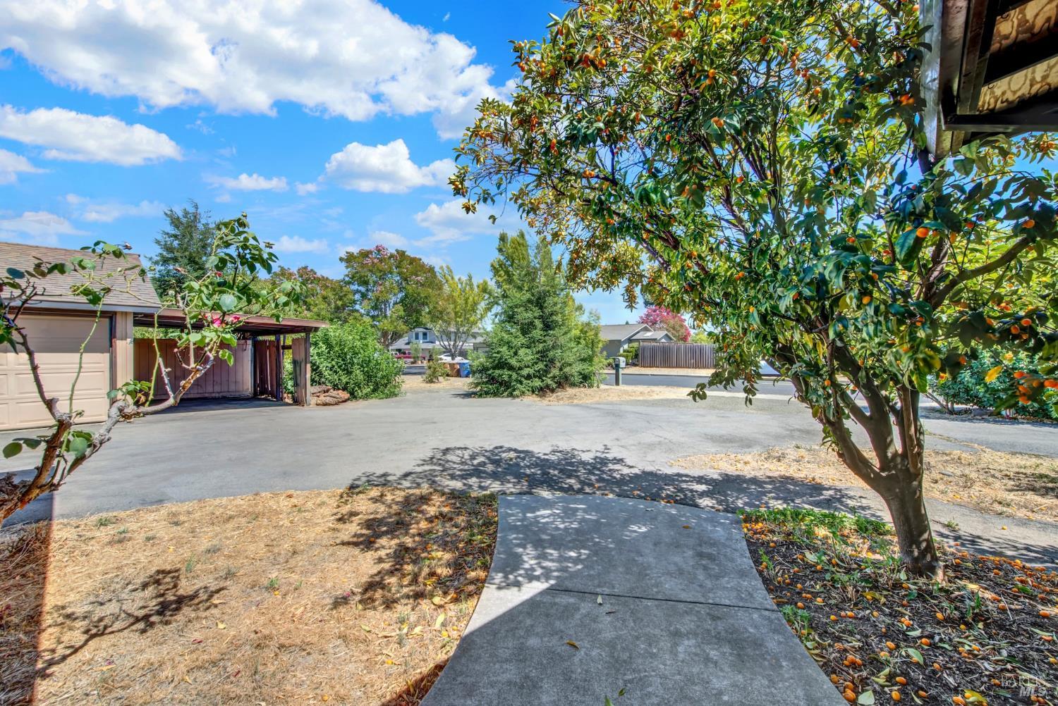 1290 Sweetbriar Drive