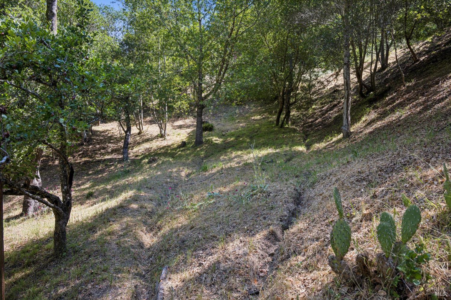 30 Escondida Lane