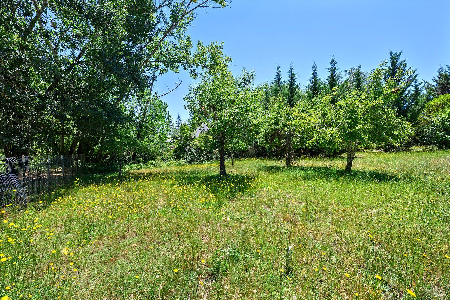 7595 Giusti Road