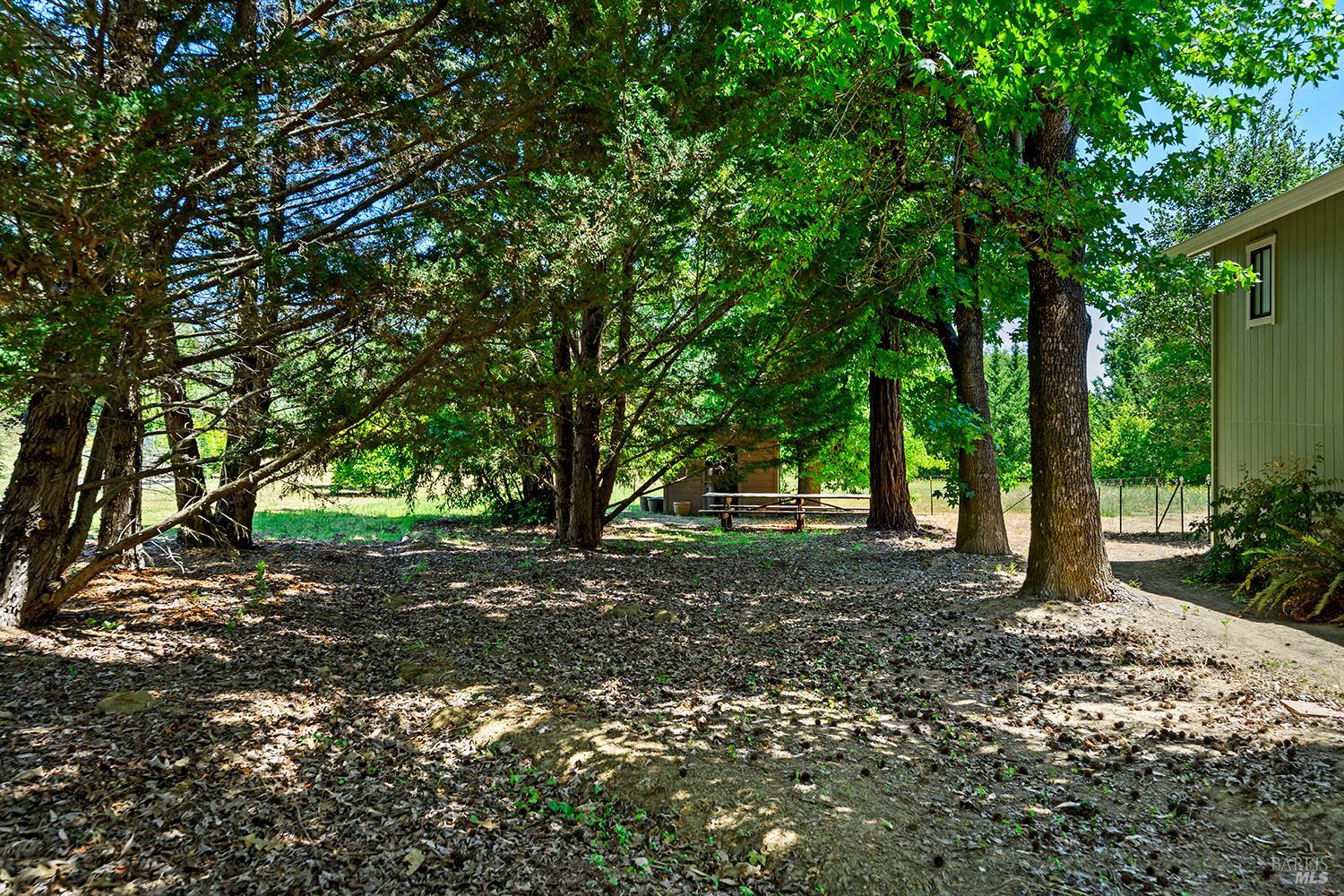 7595 Giusti Road