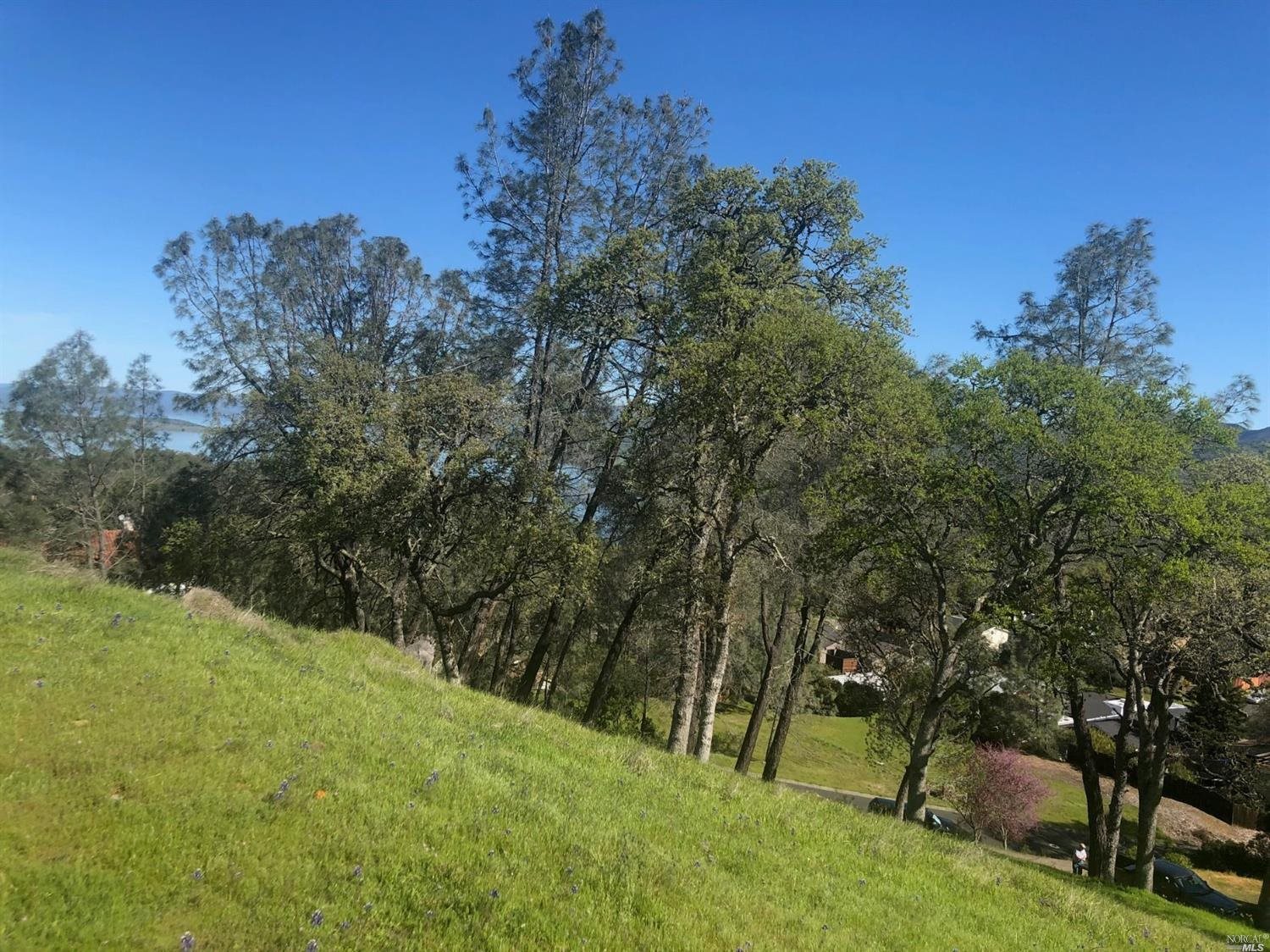1018 Westridge Drive Unit: #238