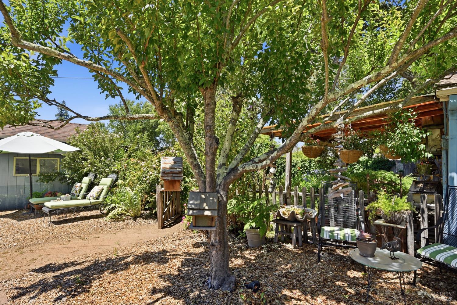 4941 Hansen Drive