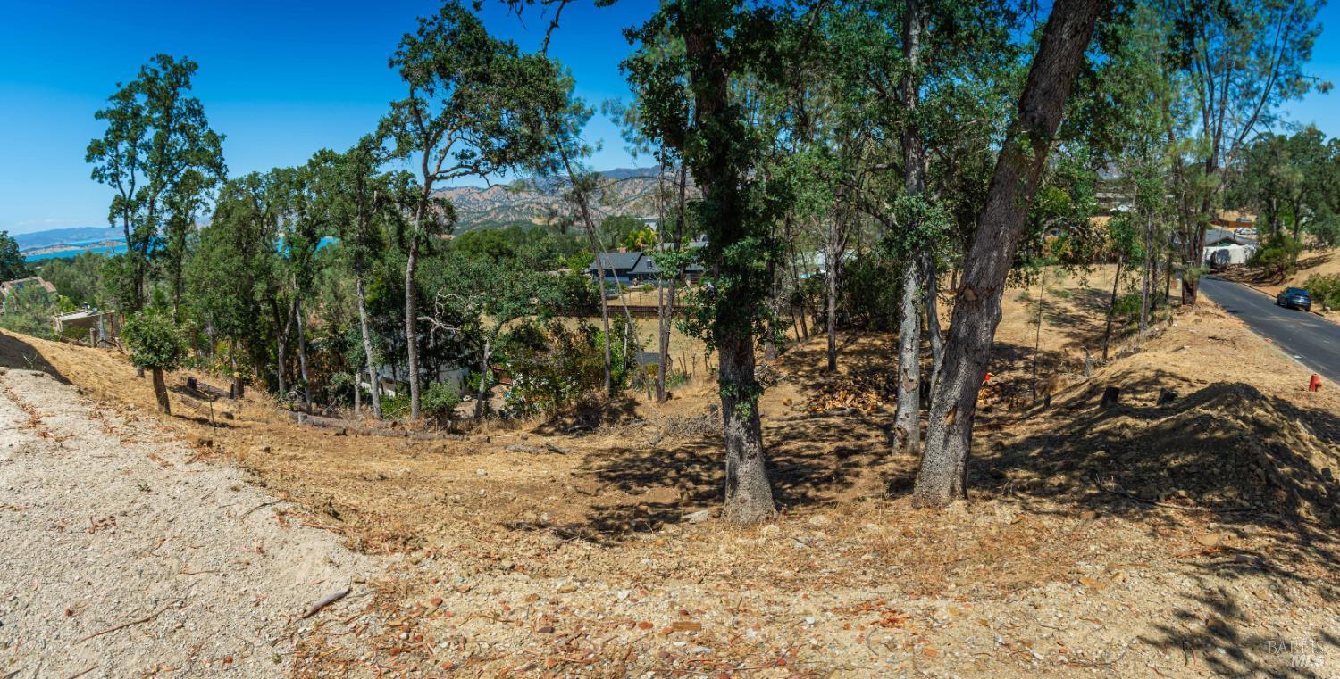 1009 Westridge Drive