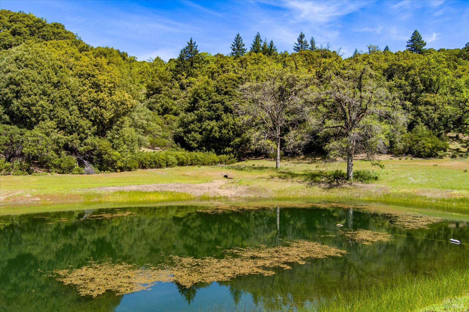 3450 Laytonville Dos Rios Road