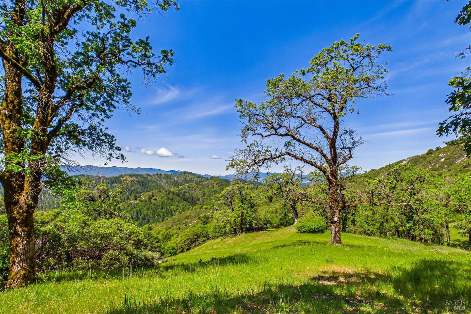 3450 Laytonville Dos Rios Road
