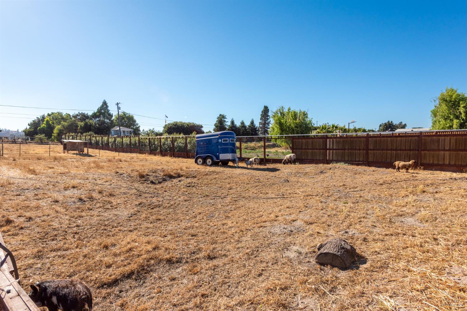 500 Rohde Lane