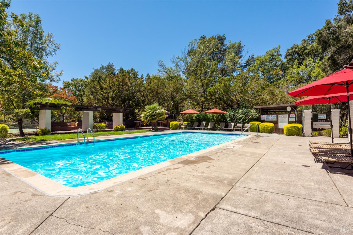 806 Shady Oak Drive