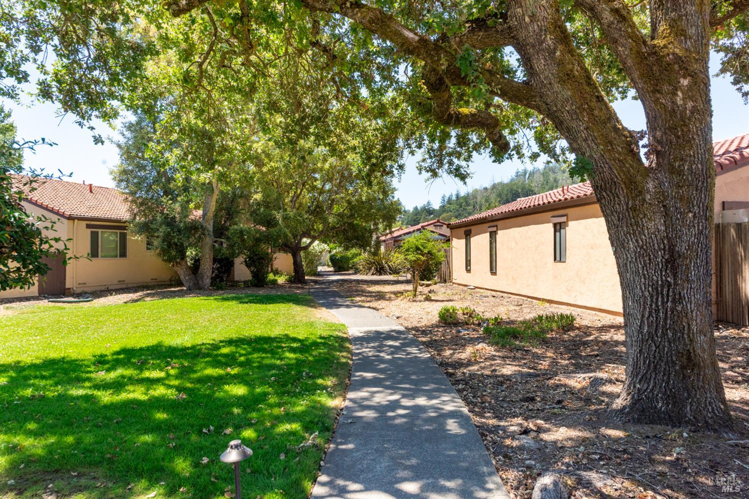 806 Shady Oak Drive