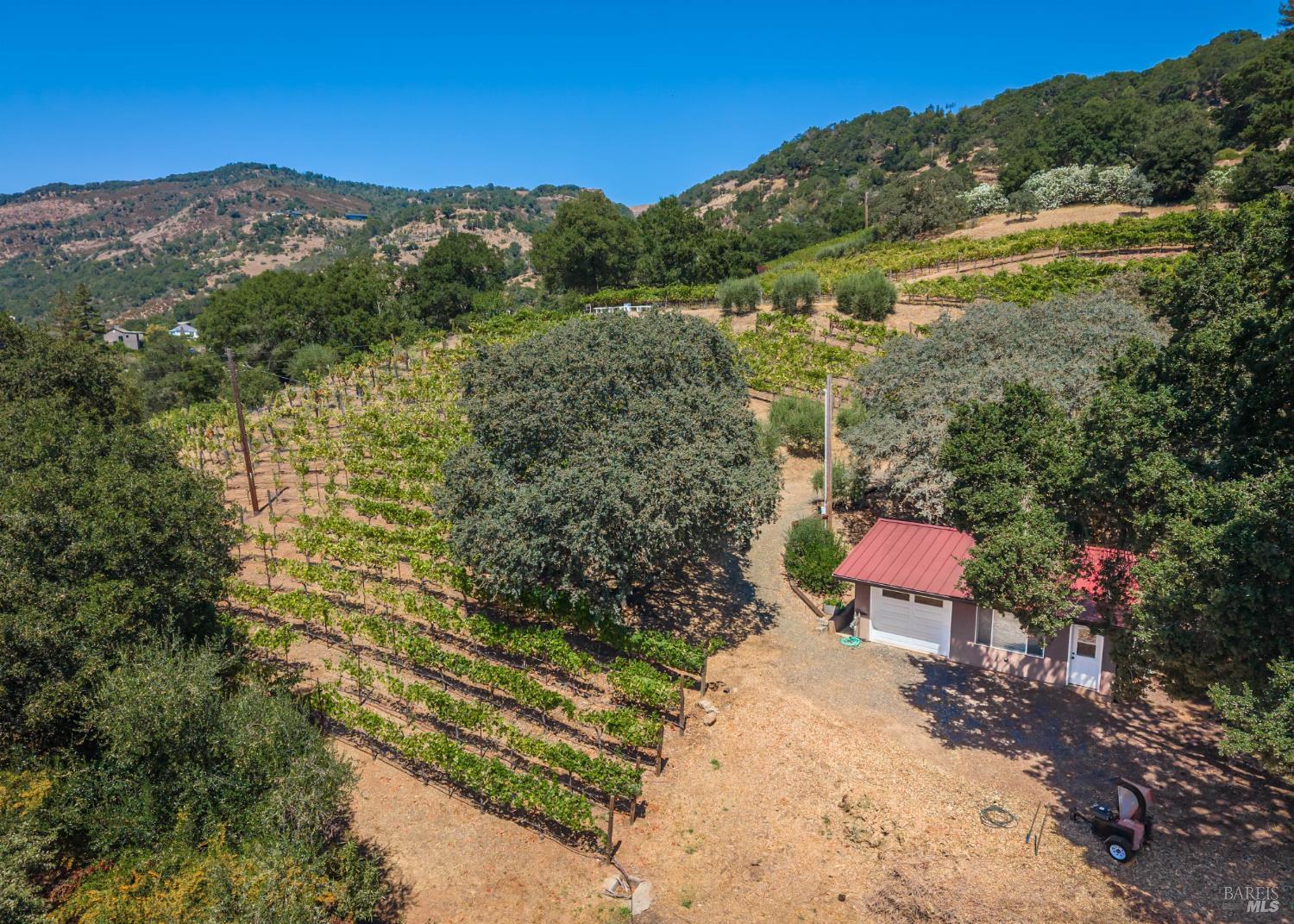 6006 Wild Horse Valley Road
