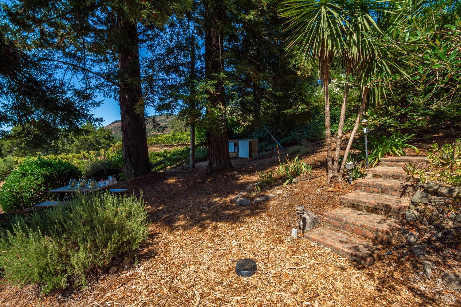 6006 Wild Horse Valley Road