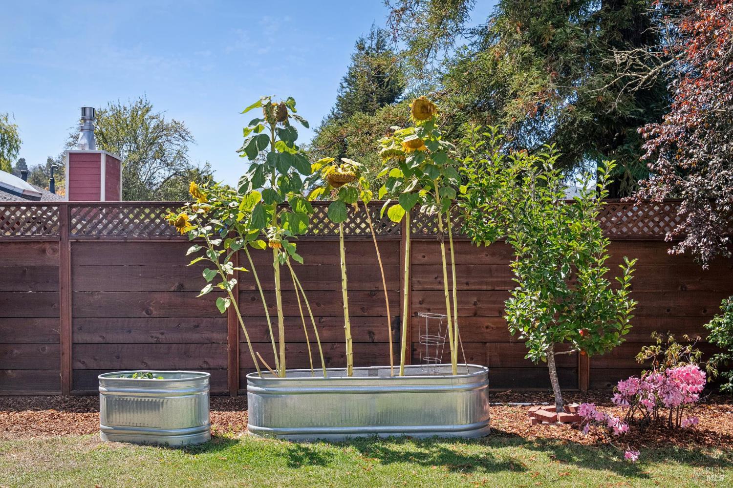 312 Marin Avenue