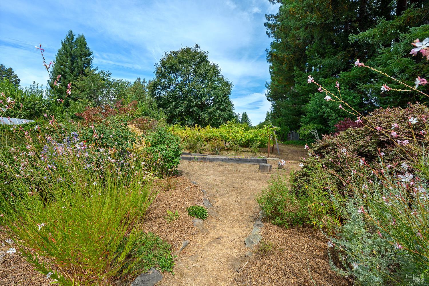 13190 Dupont Road