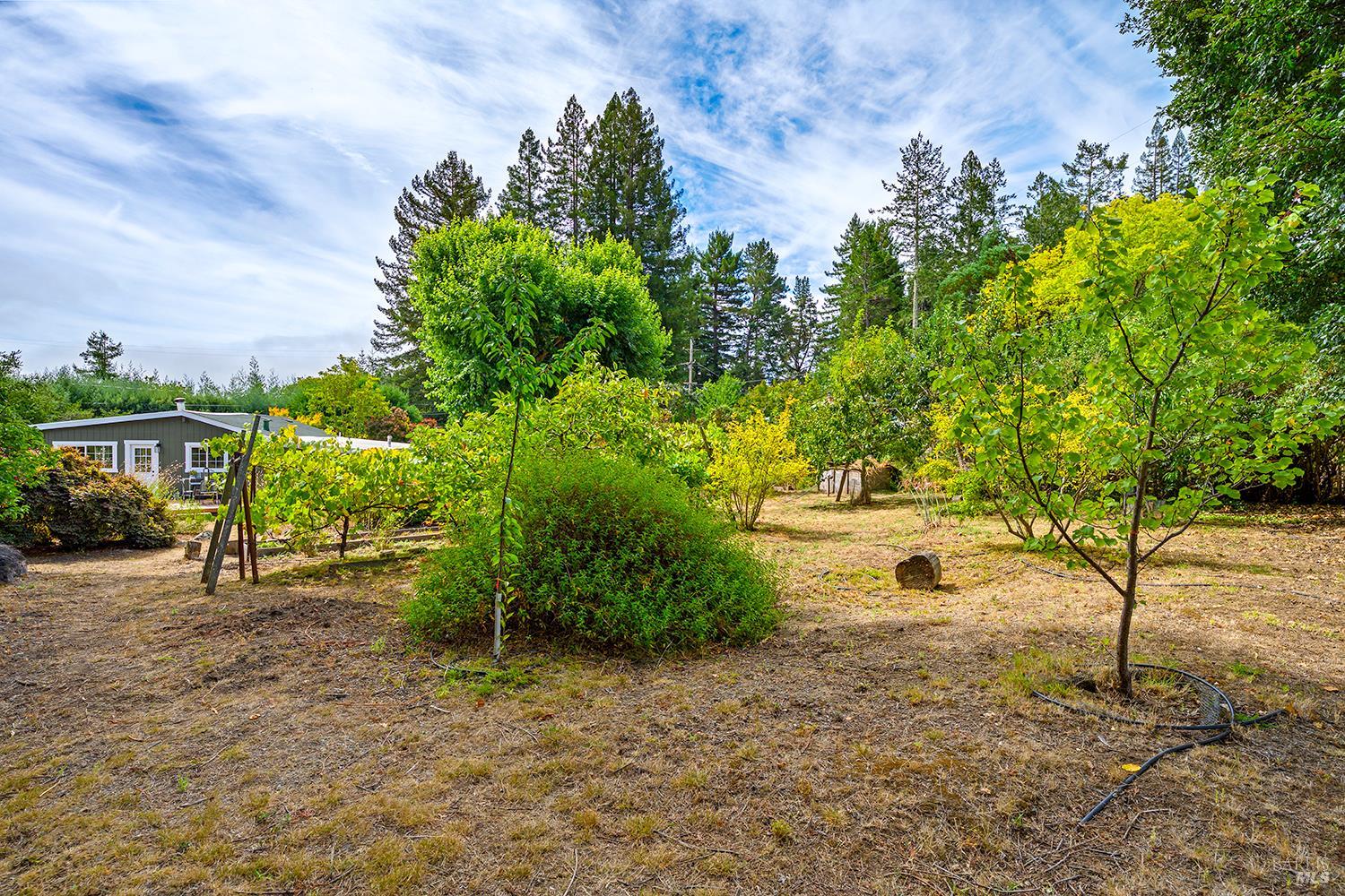 13190 Dupont Road