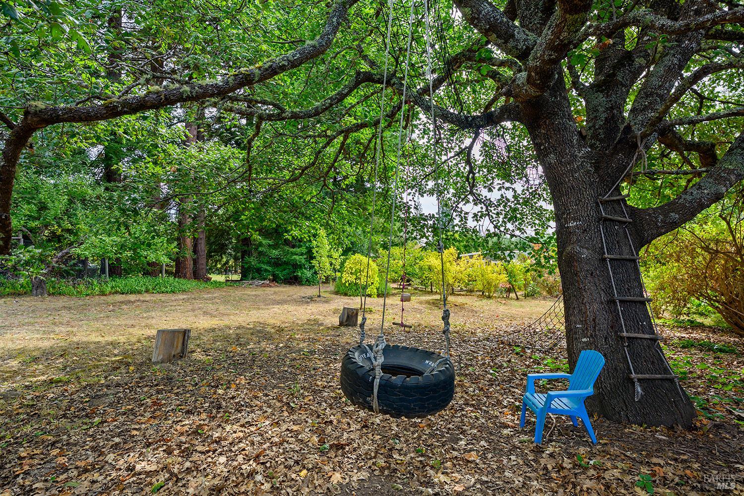 13190 Dupont Road