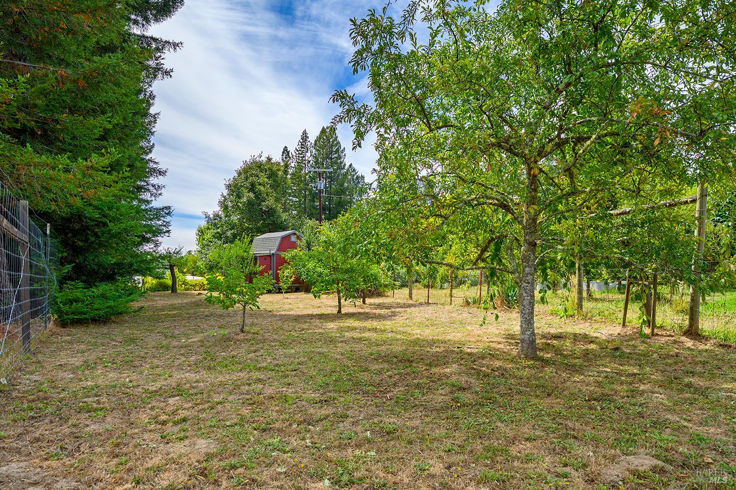 13190 Dupont Road