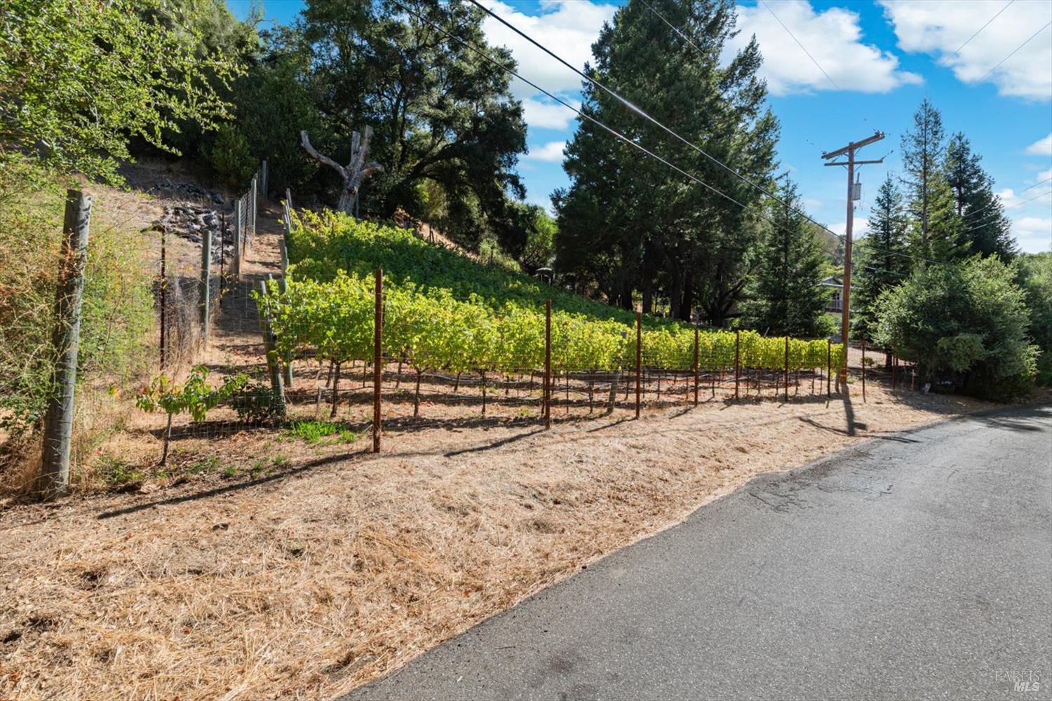 5266 Dry Creek Road