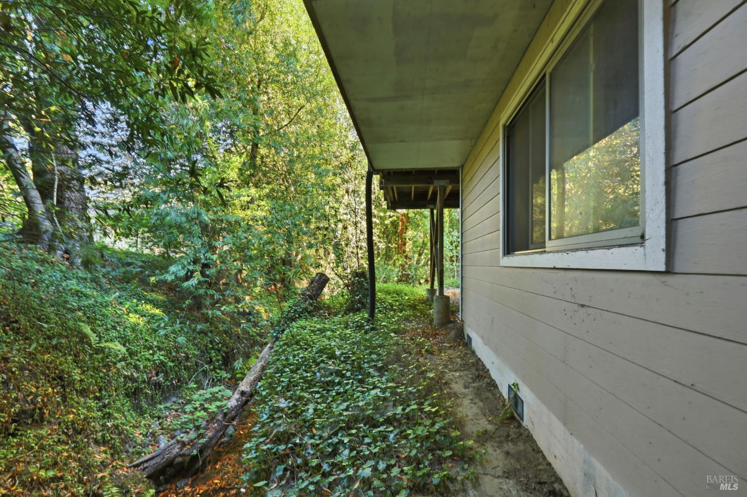 11395 Bodega Highway