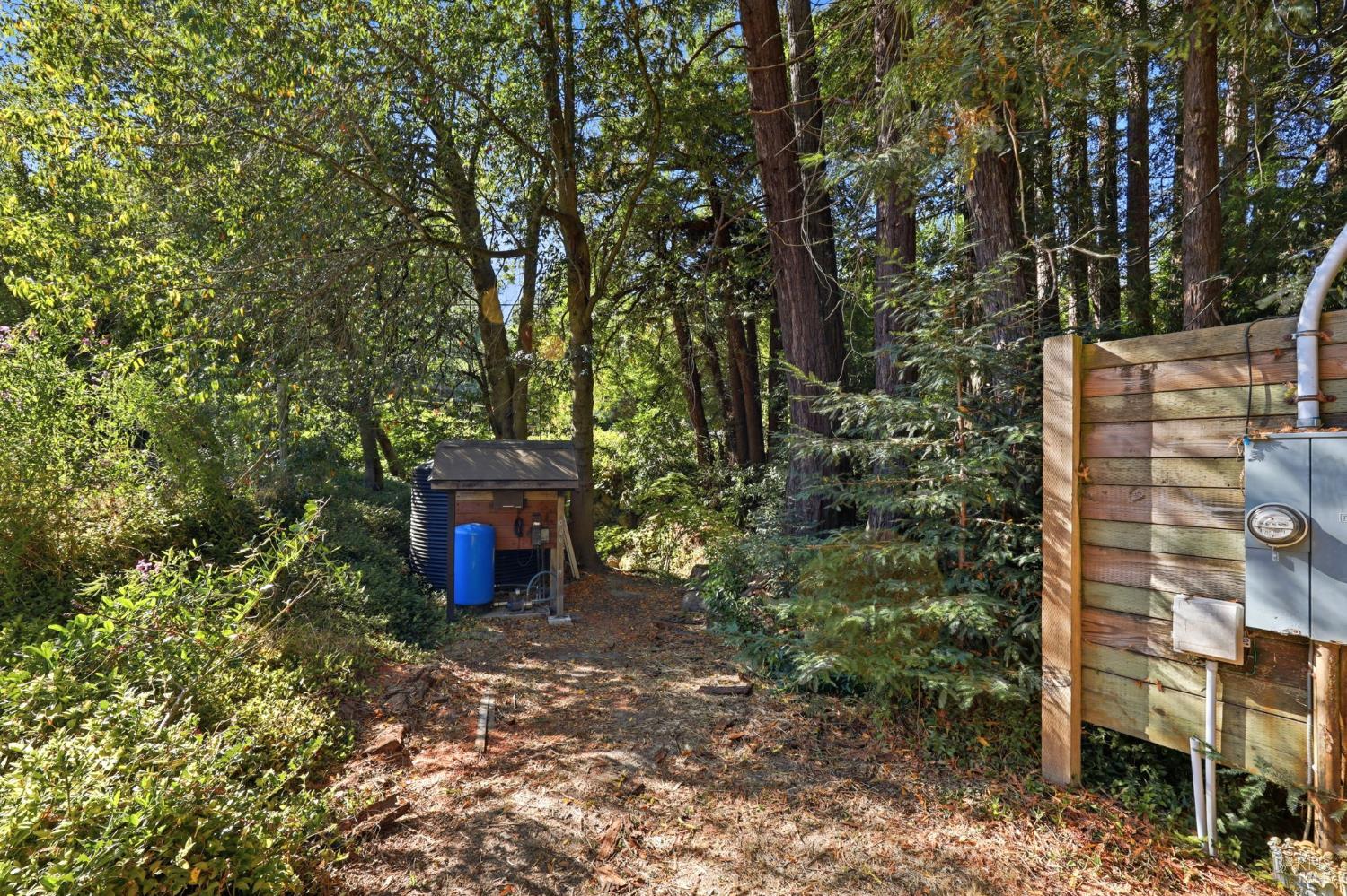 11395 Bodega Highway