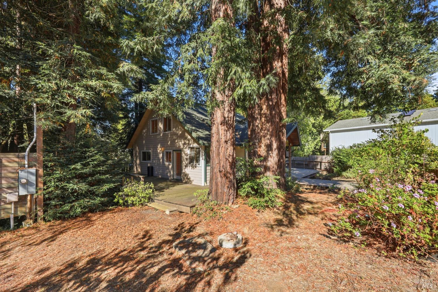 11395 Bodega Highway