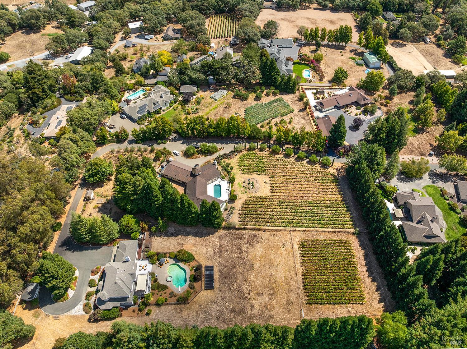 3620 Evelyn Court
