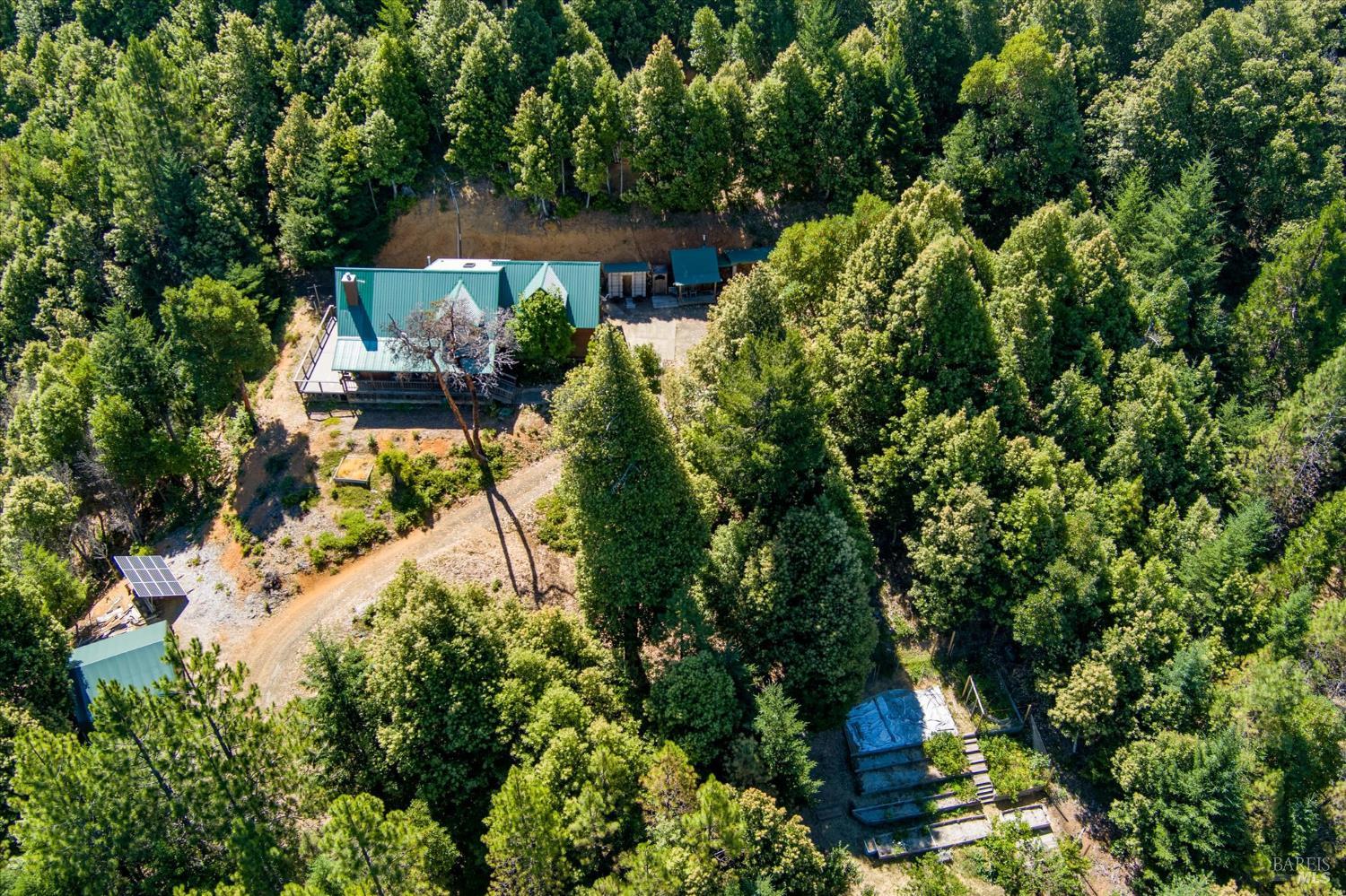 1 Cedar Street