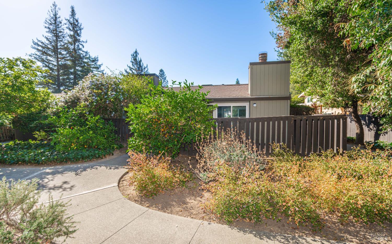1184 Walnut Street