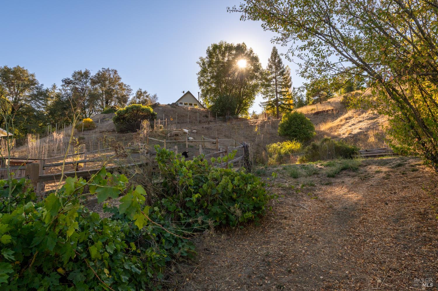 1300 Niestrath Road