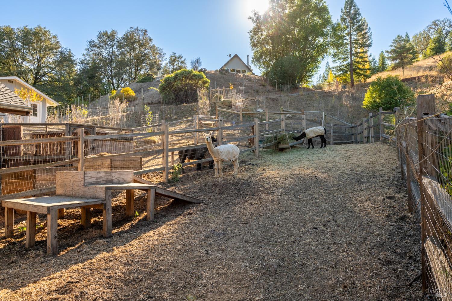 1300 Niestrath Road